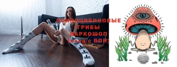 шишки Абдулино