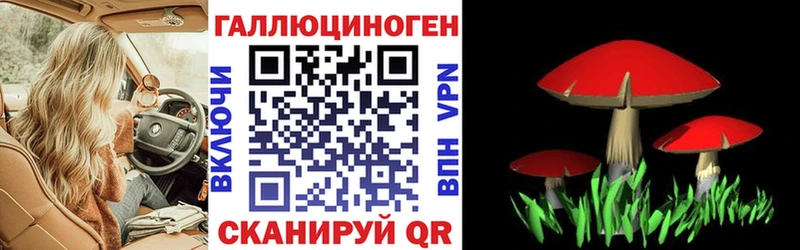 Галлюциногенные грибы Magic Shrooms Россошь