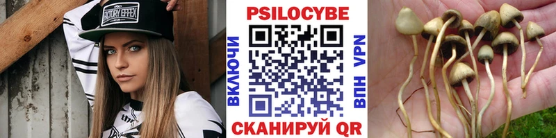 Псилоцибиновые грибы Cubensis Россошь