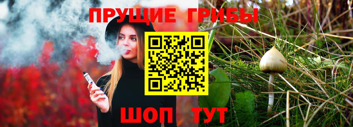 Галлюциногенные грибы Cubensis  Вход с VPN  Россошь 