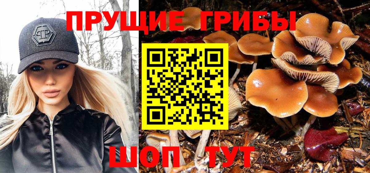 Псилоцибиновые грибы мицелий Россошь