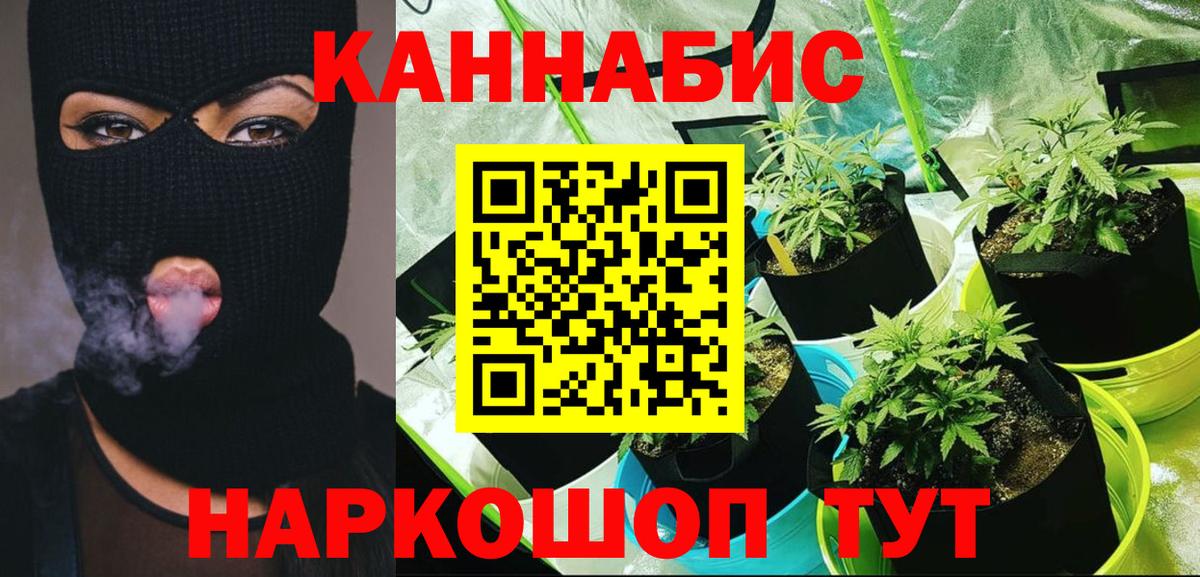 Каннабис семена  Конопля White Widow  Россошь  Вход с VPN  Марихуана SATIVA & INDICA  Марихуана Bruce Banner 
